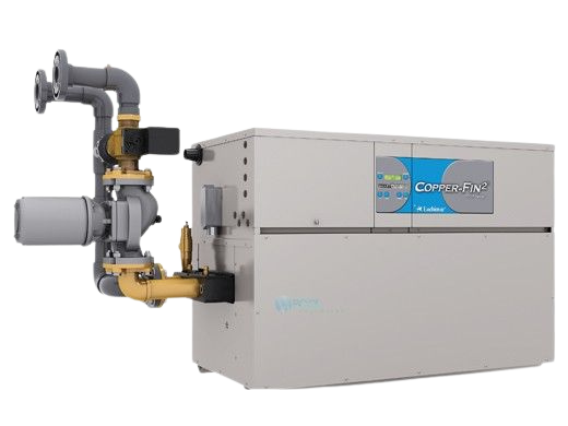 P21059611