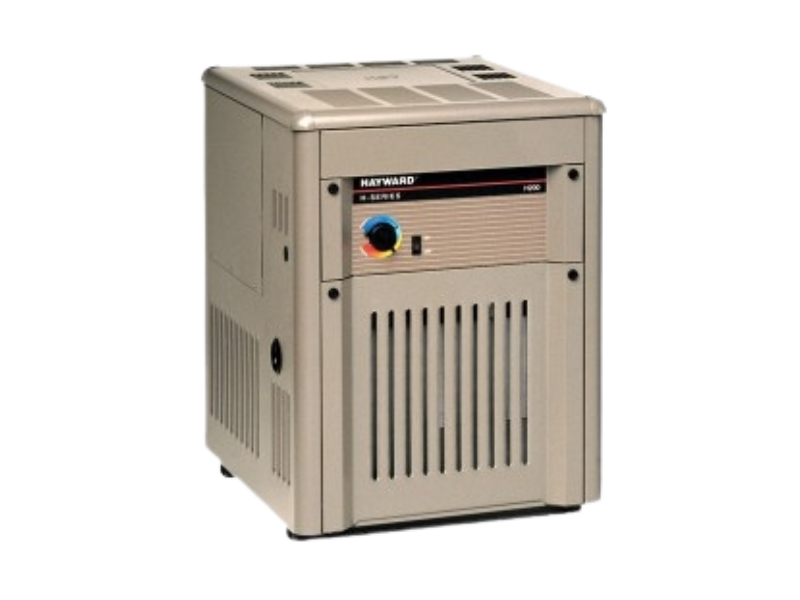 P21138339