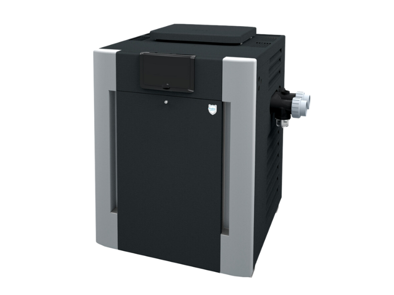 P21151538
