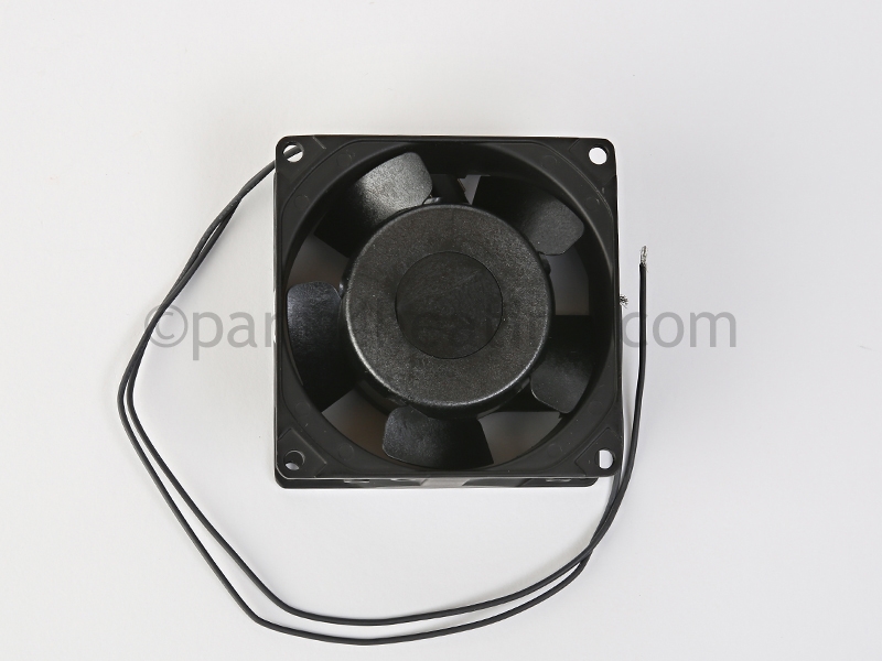 FAN2027_3.jpg