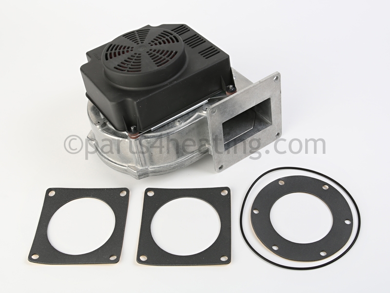 FAN30001_2.jpg