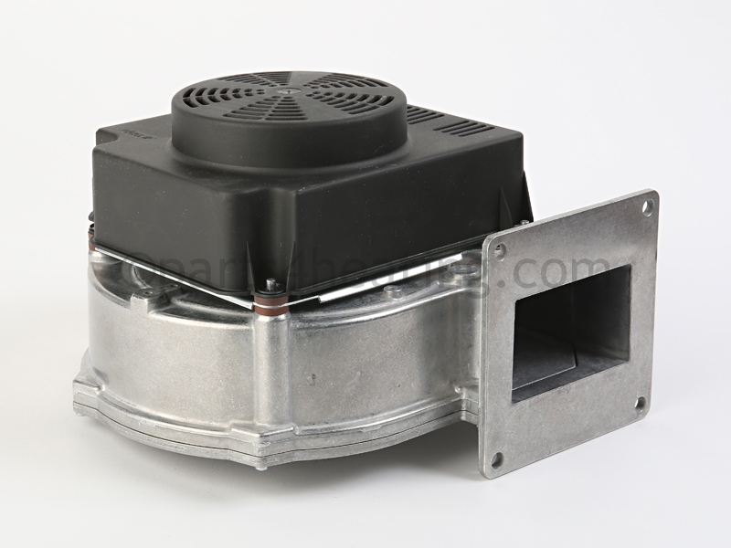 FAN30001_5.jpg