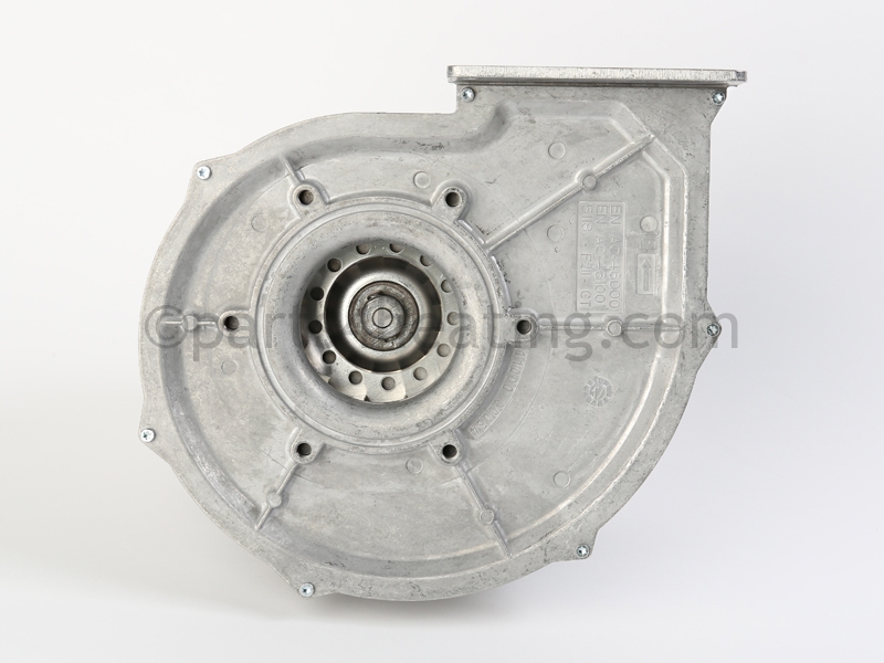 FAN30001_6.jpg