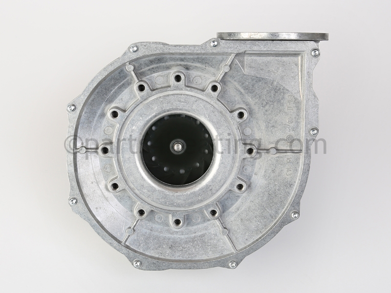 FAN3034_6.jpg