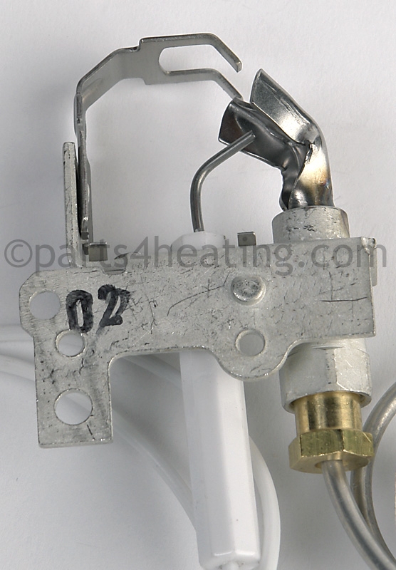PLT1069_3.jpg
