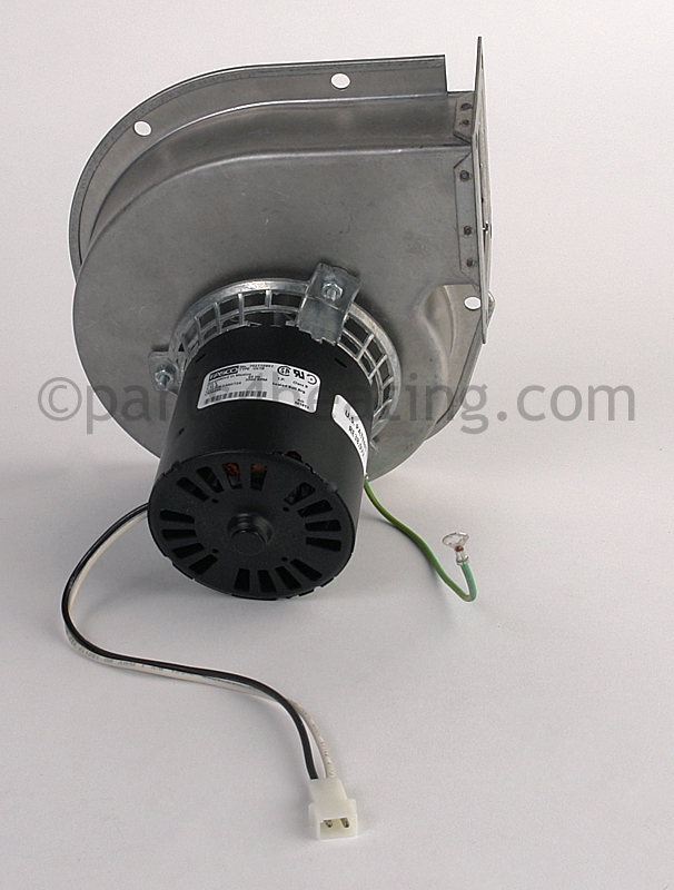 FAN2724_2.jpg