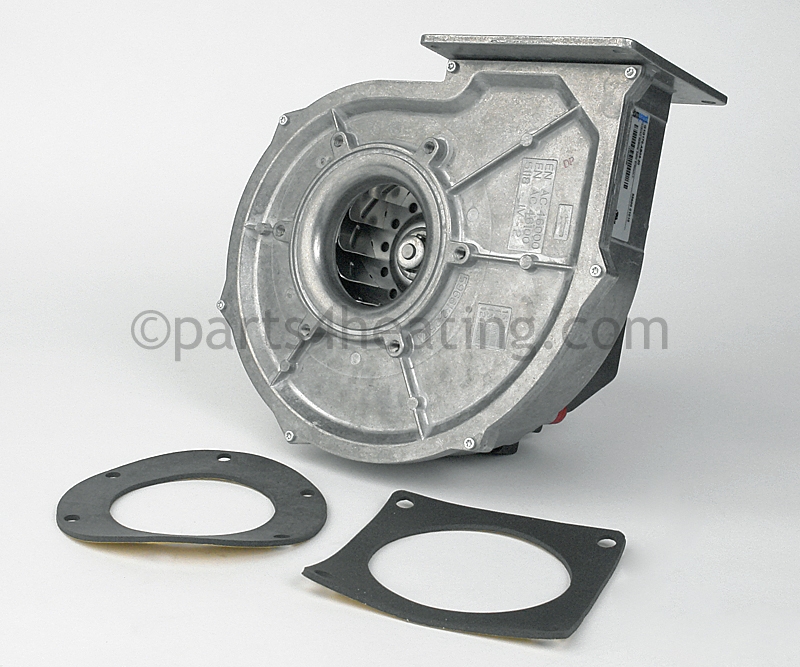 FAN3727_2.jpg