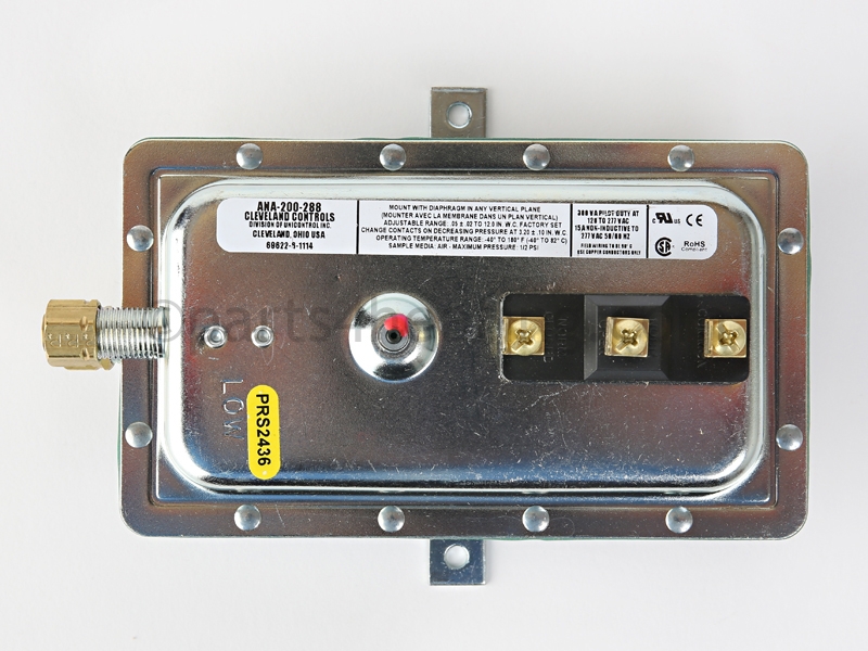 PRS2436_3.JPG
