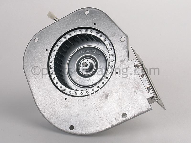 FAN2724_3.jpg