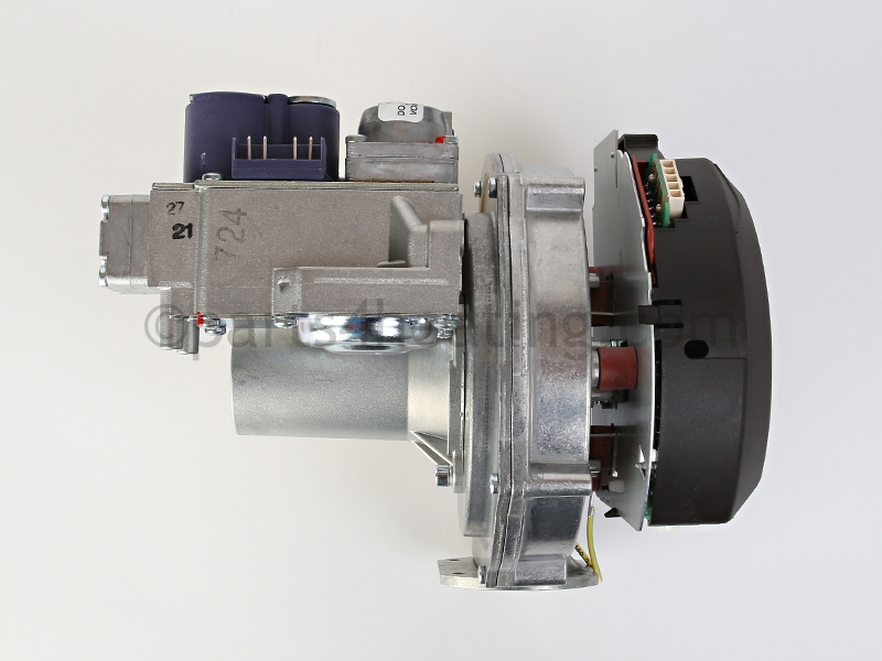 243-46009-01_6.jpg