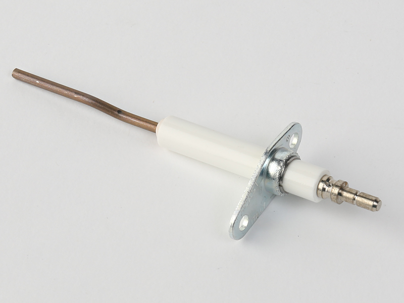 DETECTION ELECTRODE