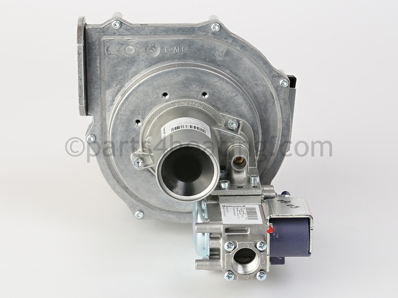 Blower and Gas Valve Assembly, (Nat)