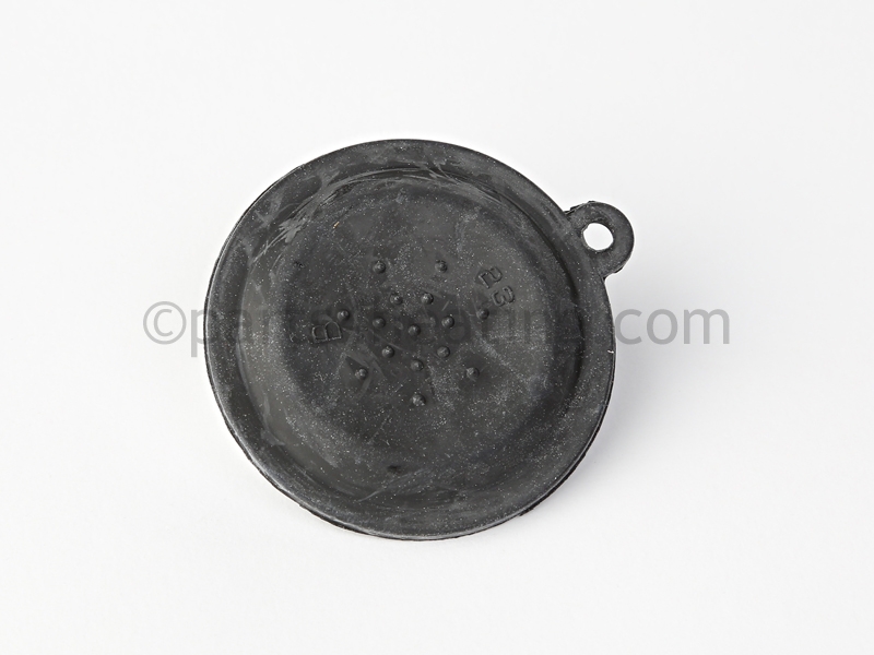 DIAPHRAGM