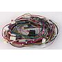 Wire harness, EBP