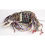 Harness/Terminal Assembly (1000)