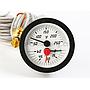 Temperature-pressure gauge